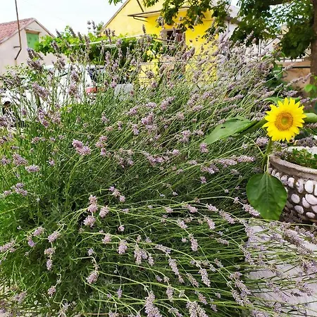 Σπίτι διακοπών Krasica